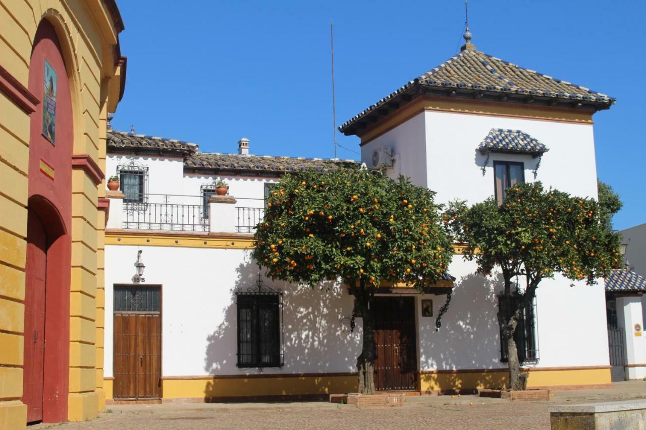 Apartamento Plaza De Toros Apartment Jerez De Los Caballeros Exterior photo